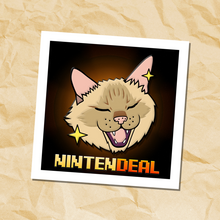 Load image into Gallery viewer, Nin-PINtern