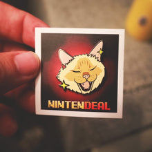 Load image into Gallery viewer, Nin-PINtern