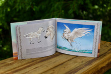 Load image into Gallery viewer, Sky Cowboys Artbook
